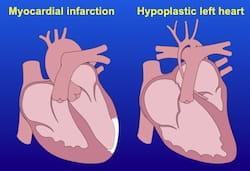 translational-research